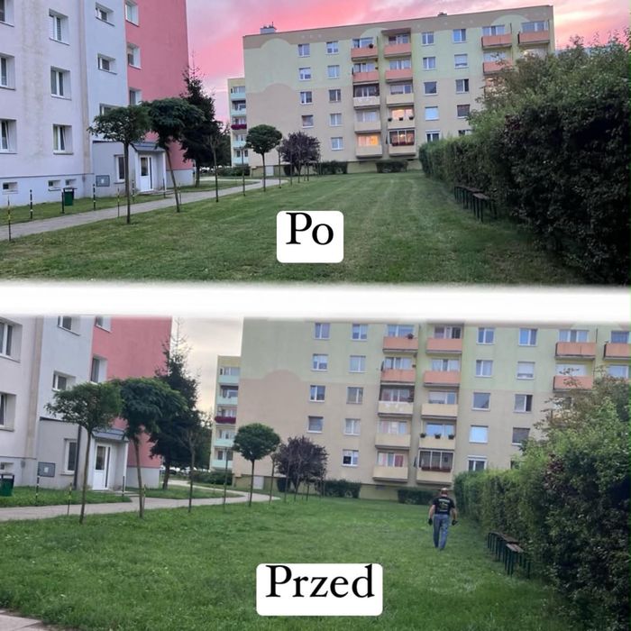 Koszenie trawy - i zarośli