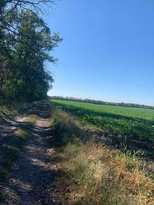 Дачка неподалік Білої Церкви .Ділянка приватизована.