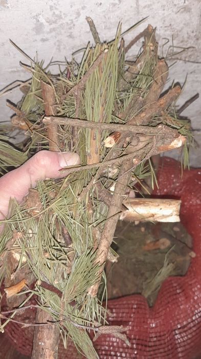 Zrębka sosnowa sucha w workach 9zl za worek  50l