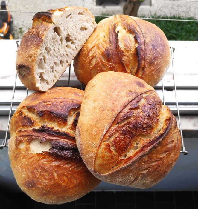 Venda/Troca BIO Pão Artesanal Massa Mãe