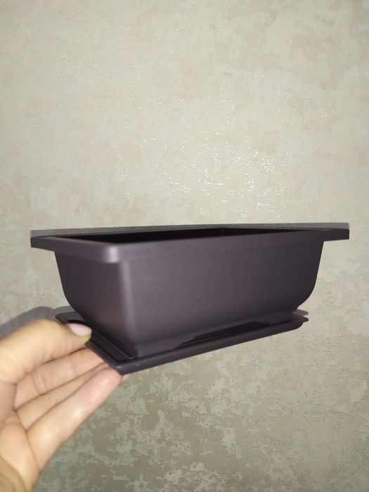 Горшочки для бонсай