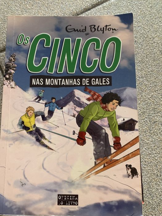 Livros para jovens de diversos autores