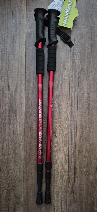 Kijki do nordic walking Summit