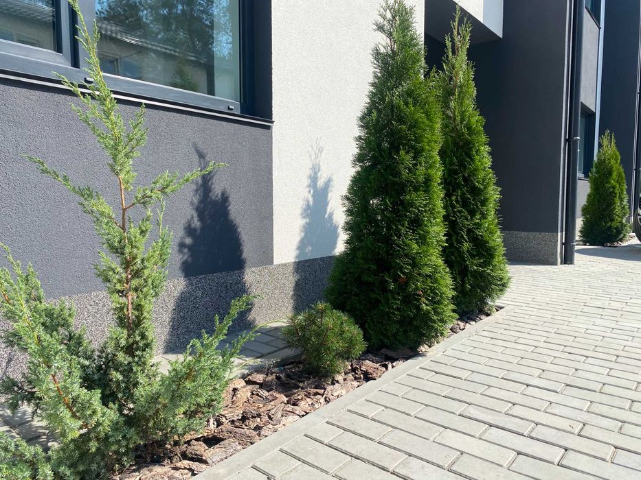 Оренда Таунхаусів в комплексі, ГЕНЕРАТОР, без % Лівий берег, М ЛІСОВА