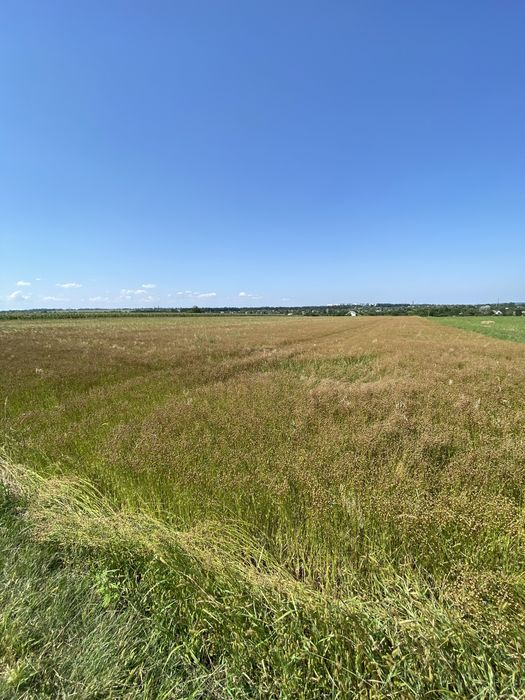 Акція!!! Лляна олія / Льняное масло 0,5 л.