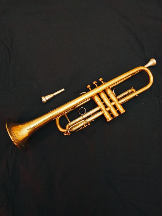 Продам професiйну трубу  B&S  Record 2000