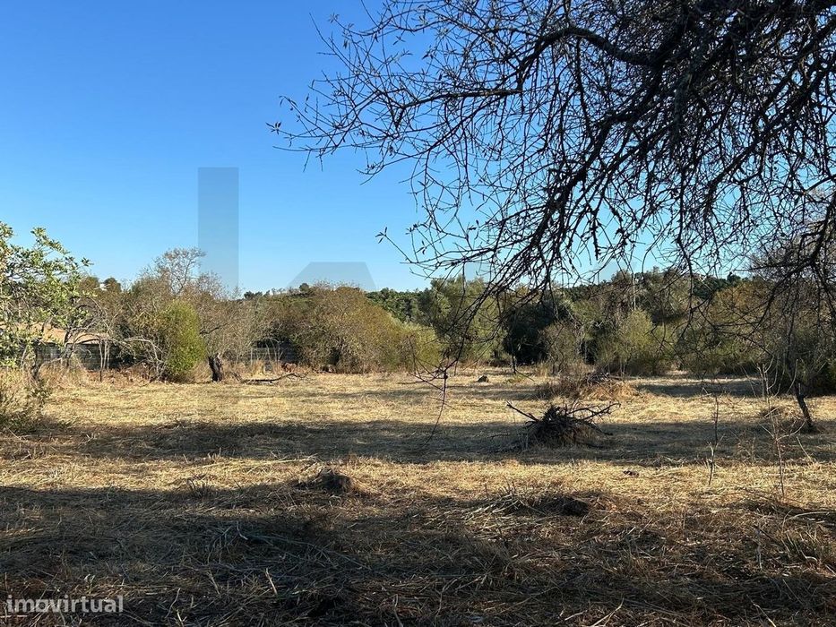 Terreno Rústico de relevo plano com 3.660m2 de área em Ribeira Baixa, — Algoz E Tunes, Faro