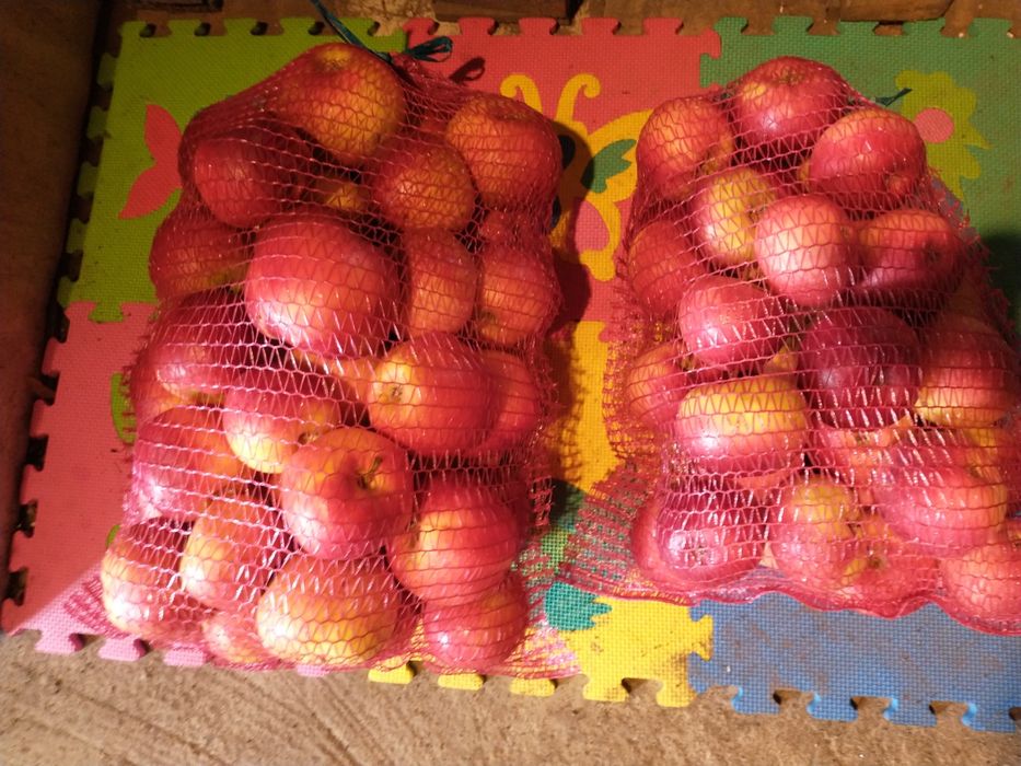 Jabłka od Producenta