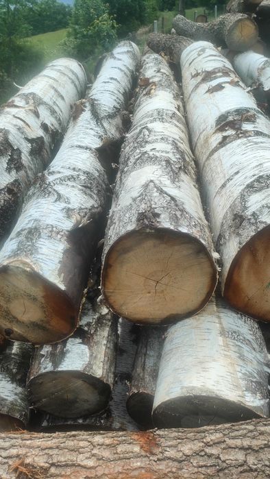 DREWNO kominkowe, opałowe - BRZOZA