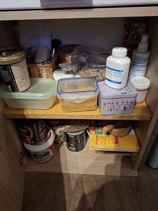 Trzy regały dla ptaków, akcesoria, karma