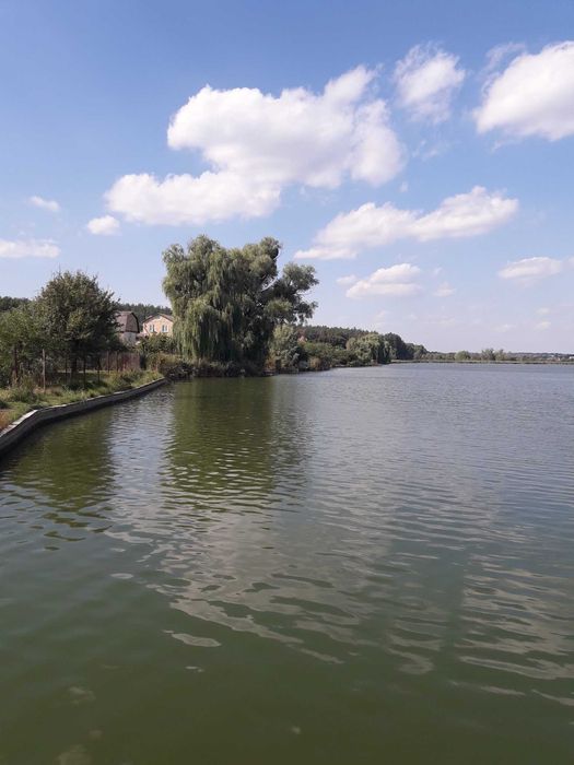 Терміновий продаж. Віта поштова, вул .Берегова, від 20 соток до 1 га.