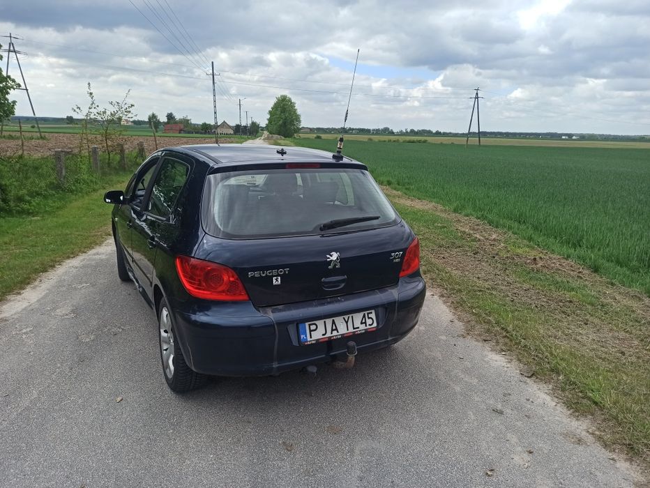 Peugeot 307 2.0 136km  2006