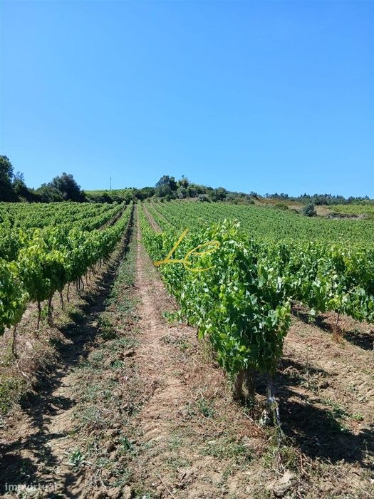 Terreno  Venda em Vila Verde dos Francos,Alenquer