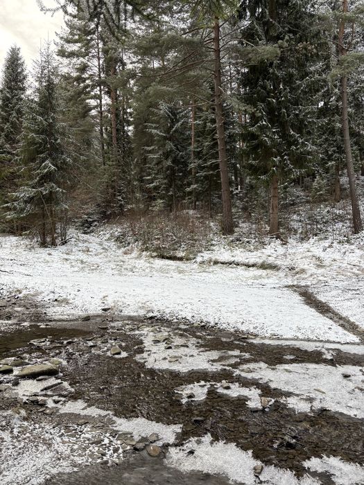 Działka 24 ary- Słopnice - przy szlaku na Mogielicę