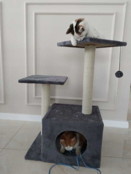 Drapak szary słupek do drapania domek drzewko legowisko dla kota