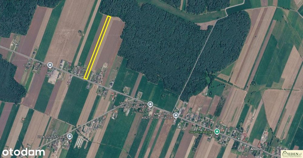 Sprzedam działke 1,08 Ha w Anoninie pod Tuchowiczem - Widok 3