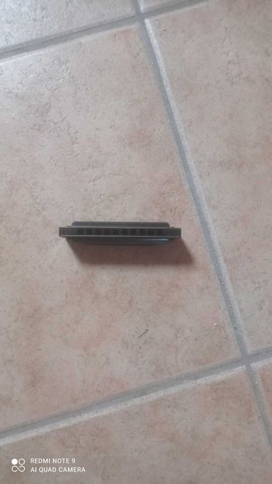 Gaita de beiços em bom estado