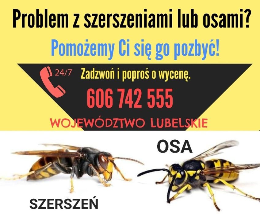 Usuwanie likwidacja gniazd os i szerszeni