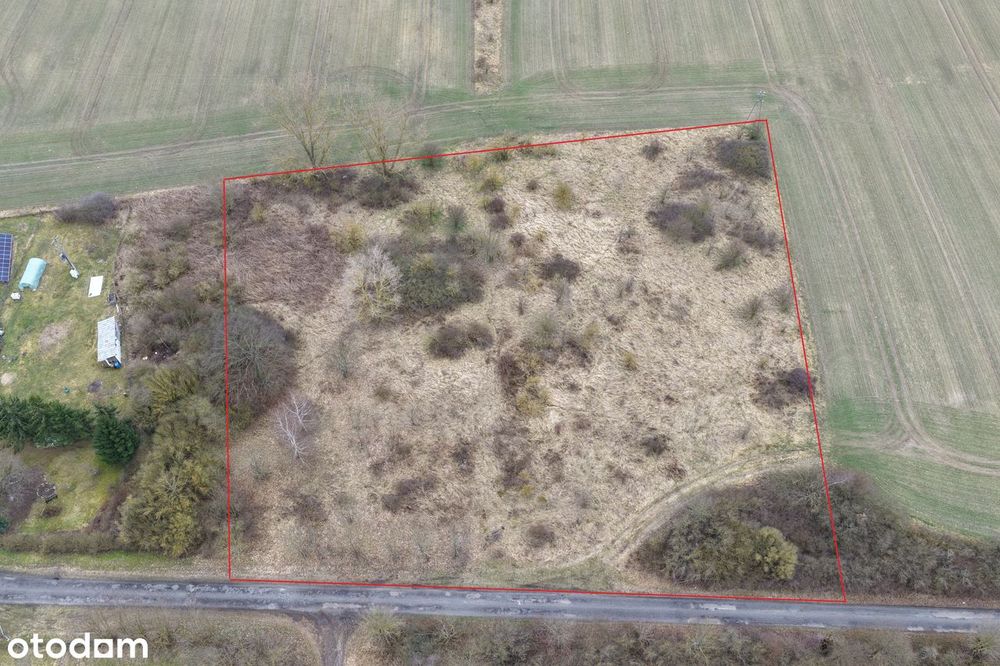 Działka inwestycyjna  9015 m² na sprzedaż