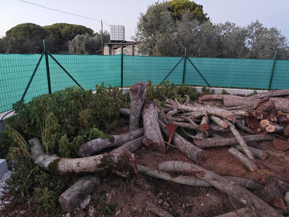 Abate de Árvores de Grande Porte