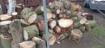 drzewo opałowe świerkowe