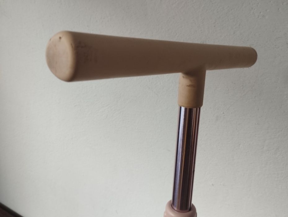 Trotinete Criança Bird Rosa