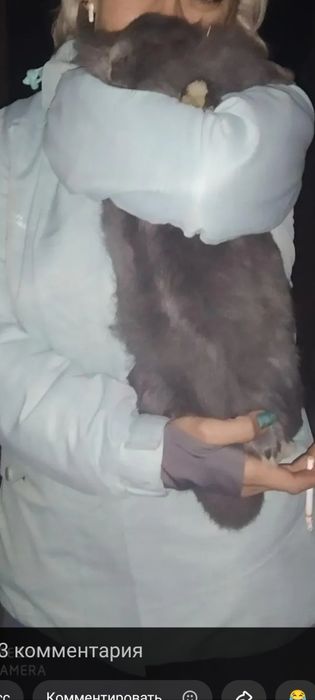 Спортивная куртка