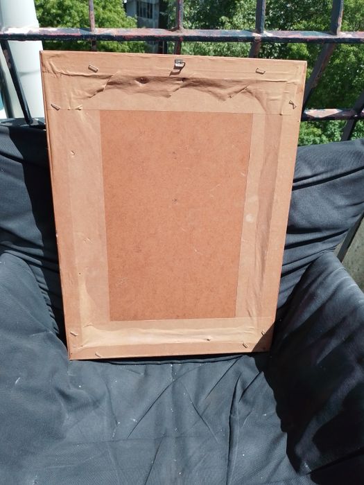 Lembra-se das antas?Ou só ouviu falar?Quadro Fotoarea Antas250EDesde2E
