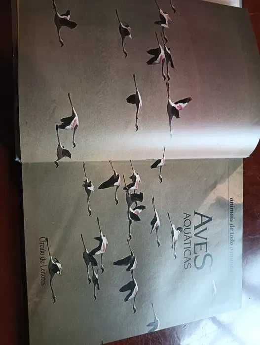 Aves aquáticas Coleção Animais de todo o Mundo do Circulo de Leitores*