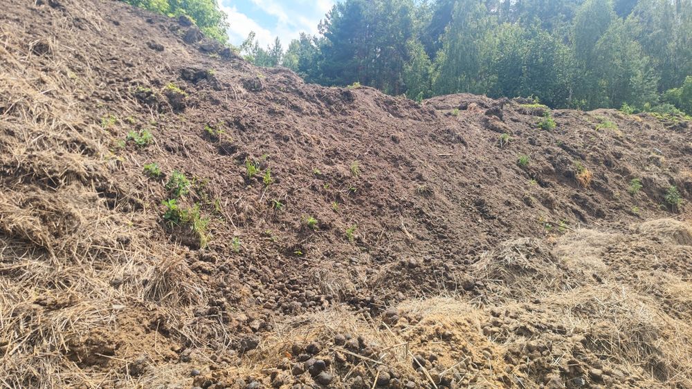 Гній, перегній кінський, натуральне добриво