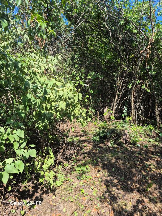 Продам земельну ділянку зі старим будинком