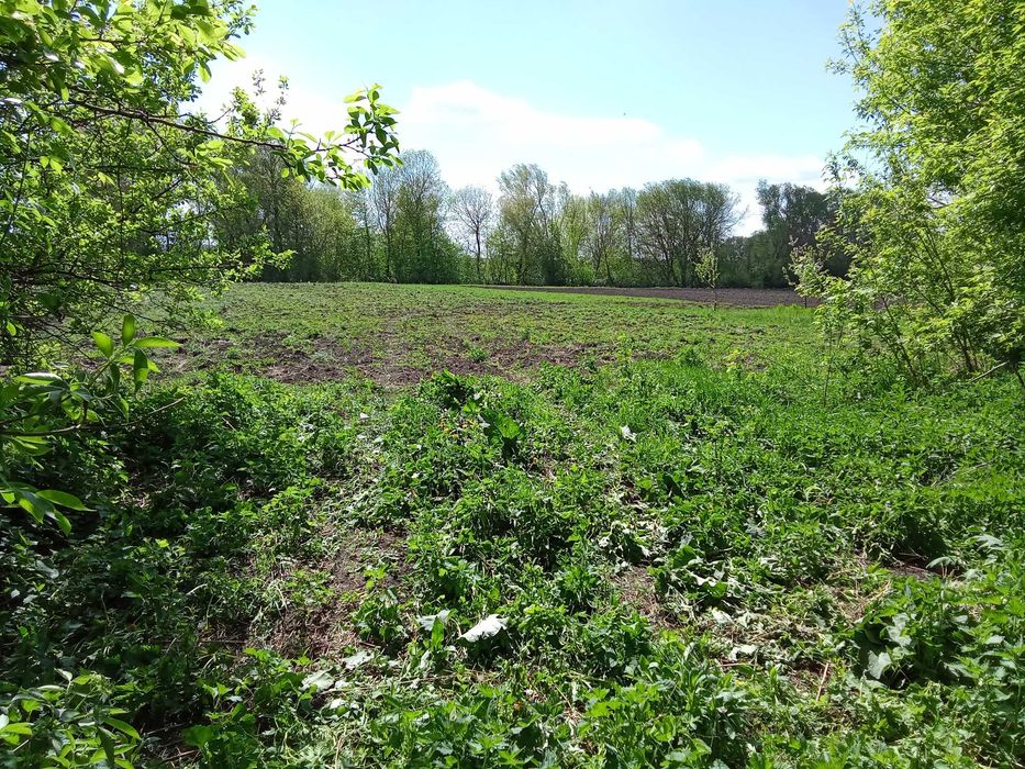 Продам земельну ділянку