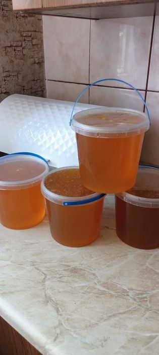 Продам мед з власної пасіки (різнотрав'я)