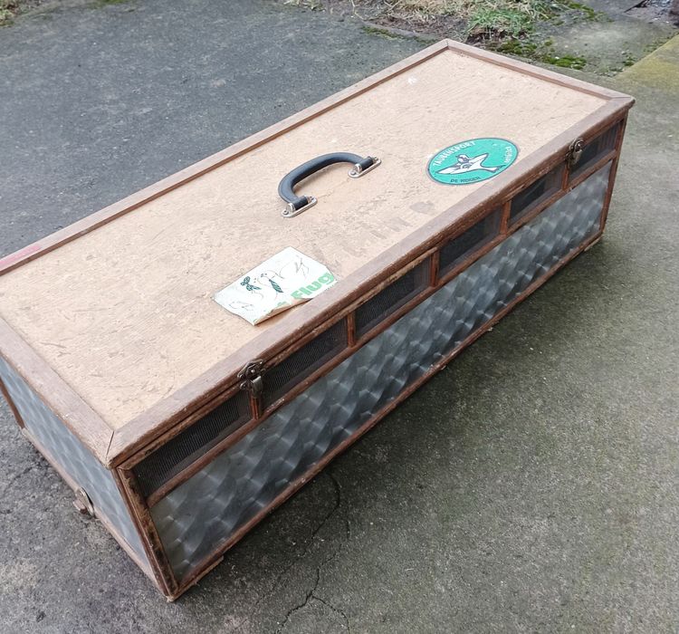 Gołębie pocztowe skrzynka do ich transportu - przedziałki