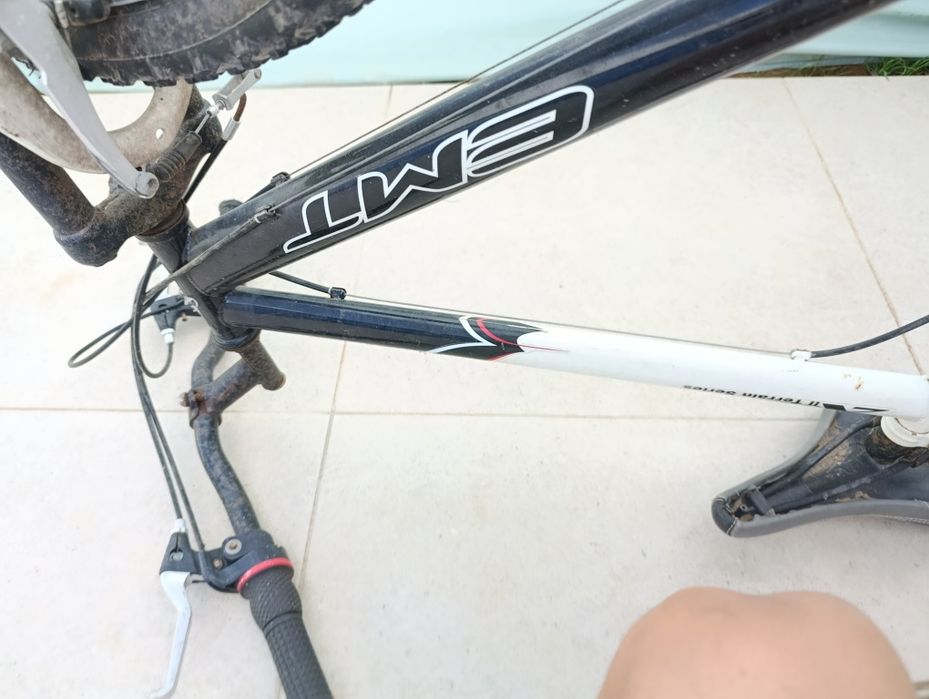 Bicicleta adulto