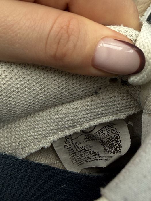 Кросівки Nike Dunk