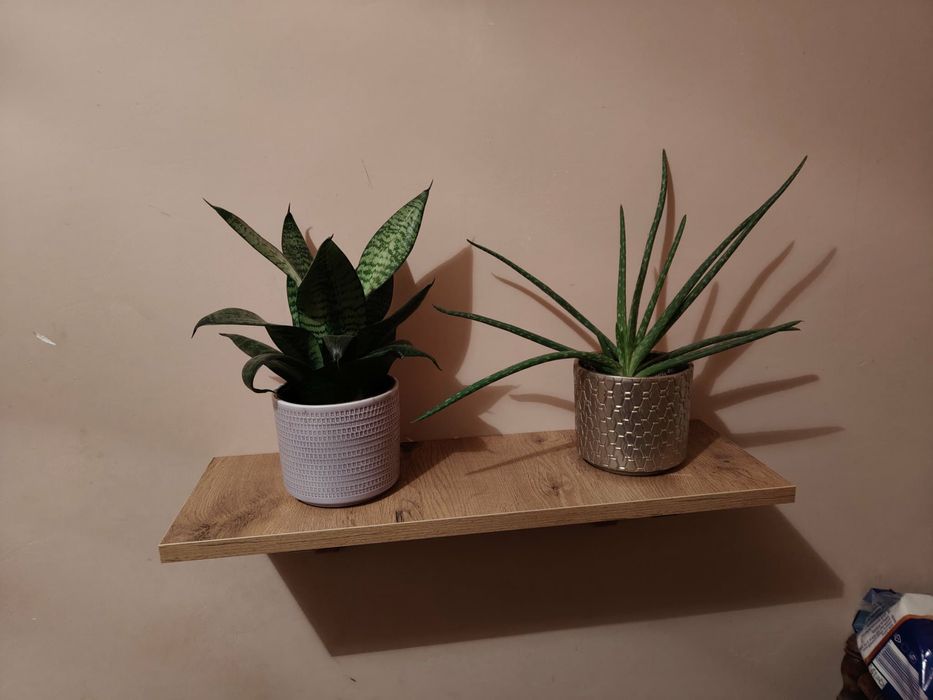 Półka ścienna wisząca dąb lancelot 3szt