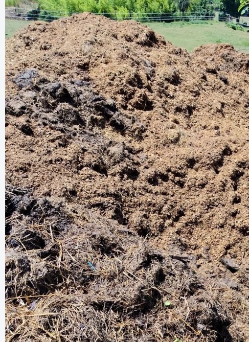 Fertilizante/estrume de Burro