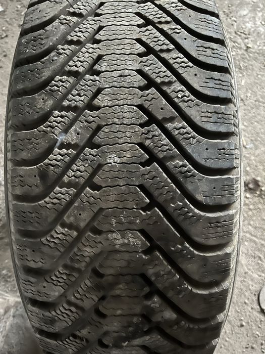 Резина 2 колеса, хозяин