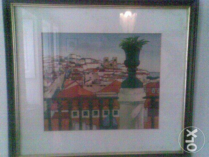 Serigrafia de TOM, Jardim de S. Pedro de Alcântara