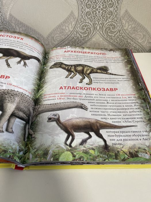 Книга Динозаврьі и другие древние животньіе