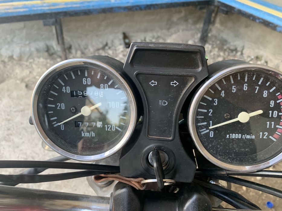 Альфа мустанг 2020