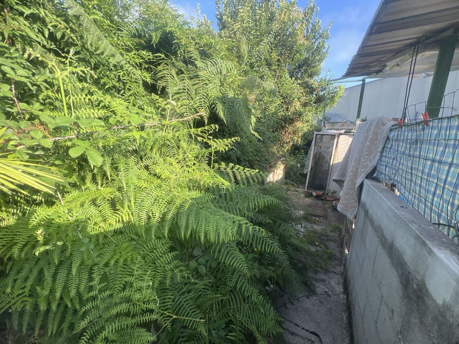 Servicos de jardinagem e limpeza de terrenos.