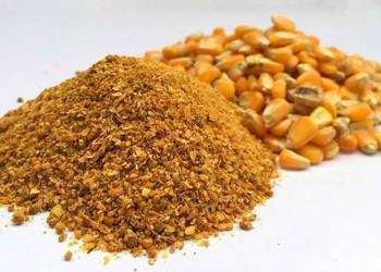 DDGS Kukurydziany Sypki 28% Białka Węgierski