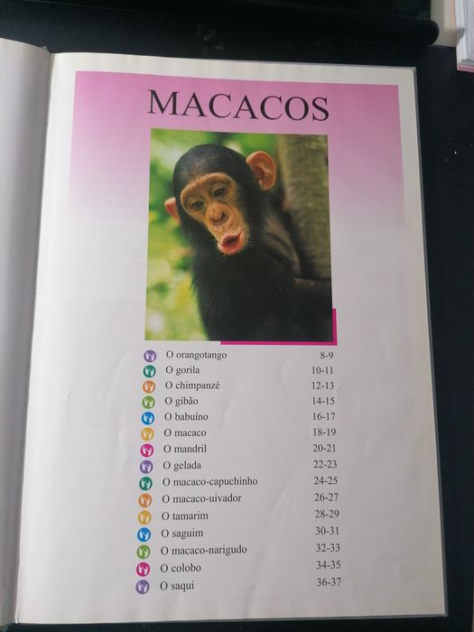 Conjunto de livros de O Mundo Fascinante dos Animais