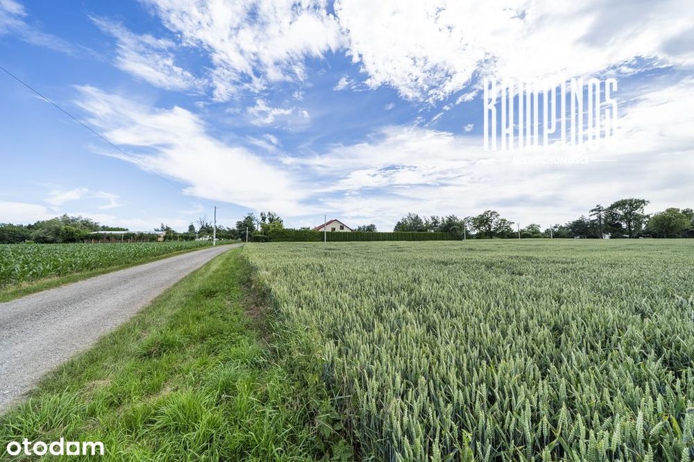 Atrakcyjna działka z WZ – Prusy, Kampinos