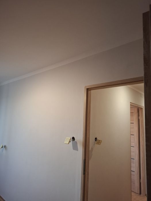 Malowanie: malowanie pomieszczeń, malowanie budowlane, gładzie, malowanie artystyczne, dekoracyjne, murale.
