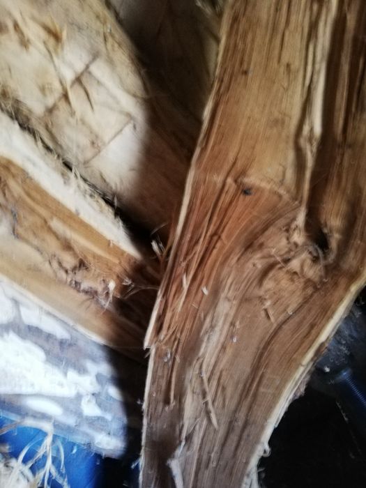 Дерево яблоня  красное дерево для поделок