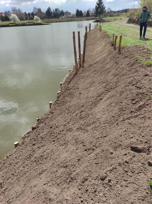Faszynowanie zabespieczanie brzegów stawów jezior kopanie stawów