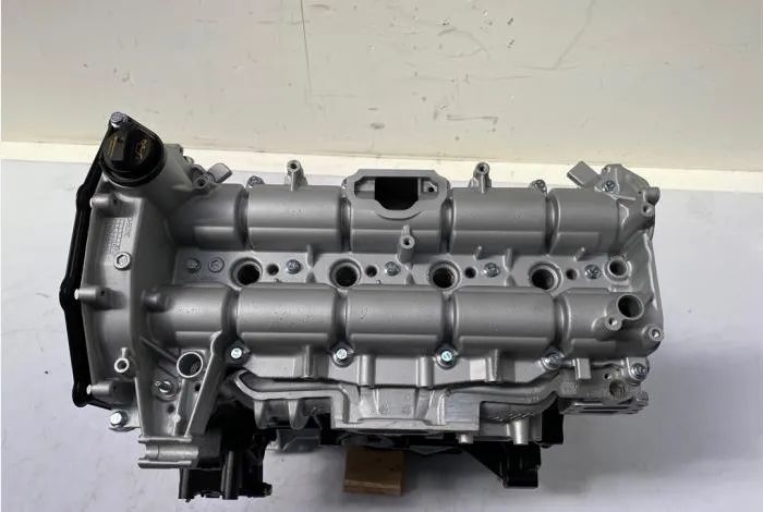 Silnik 2.0 TDCI ECOBLUE Euro 6 Ford Custom Renger Transit Napęd TYŁ / PRZÓD KOD: YNFS YMR6 YMF6 BJFA YNF6 BLFB TRANSIT